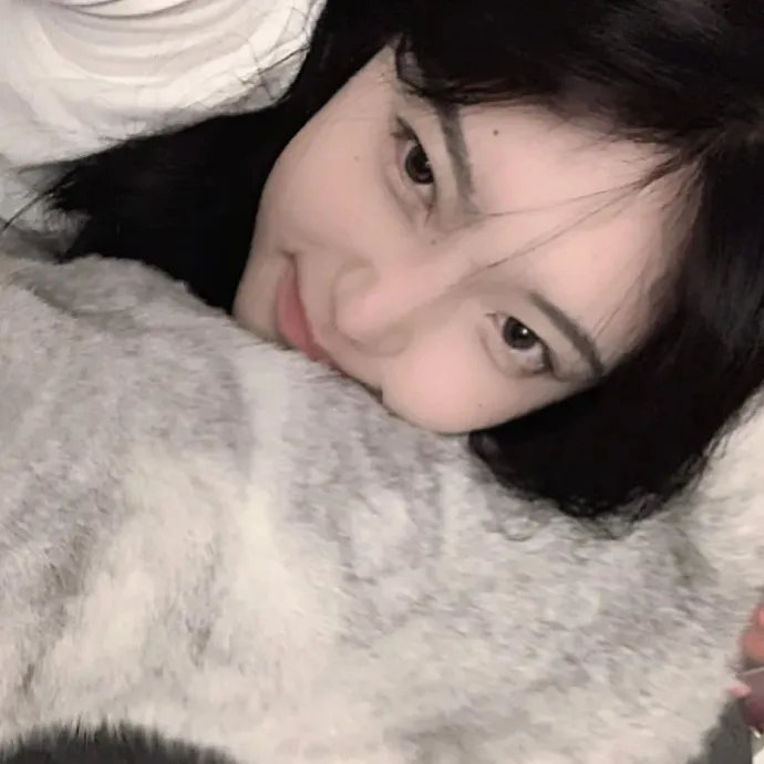 不疯不狂不爱你